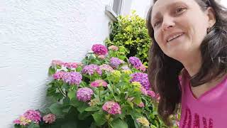Близость и духовность 🧡 Путь эволюции Души 🌈 Ароматы трав🌿🌸Пробуждение Вознесение 🕊 Любовь Творца 🧡