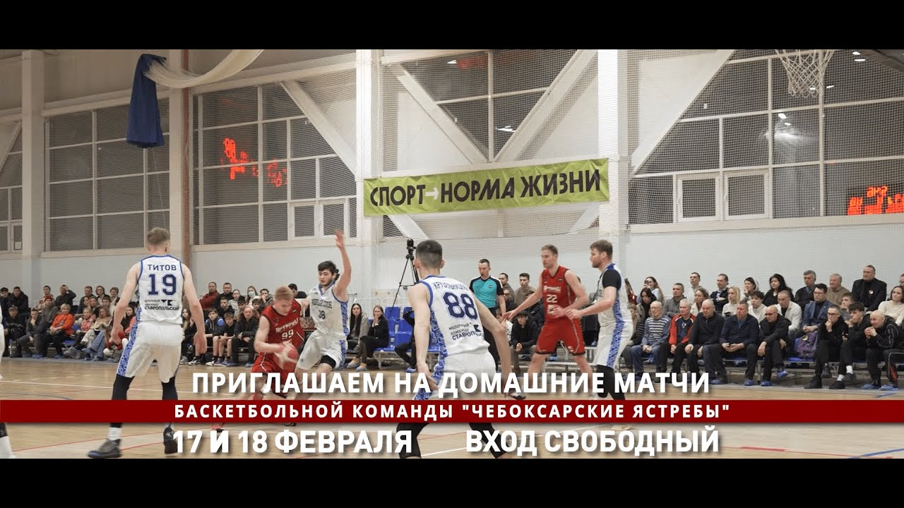 Эксклюзивный видеоотчёт прошедшего матча БК "Ястребы" и БК "Южный слон" (13-14.02.2024)