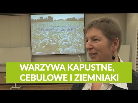 Wideo: Warzywa Kapustne - Co Za Ciekawostka?