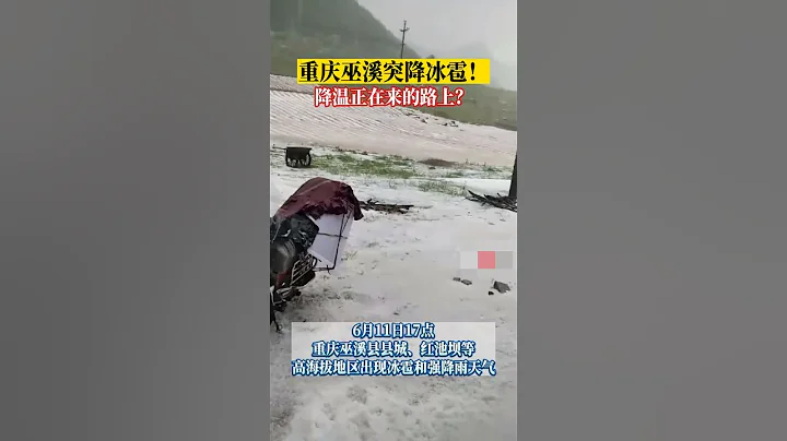 🔴重庆巫溪县出现冰雹和强降雨天气。冰雹从天而降，打在地上劈劈啪啪作响，在地面上覆蓋了一层厚厚的冰雹。 ☔️✳️ - 天天要闻