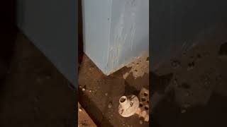 When Things Go Wrong For Philadelphia Emergency Plumbers. You Wont Believe This