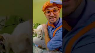 Blippi Learns How To Pet A Puppy! #Blippi #Shorts