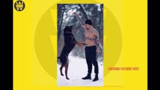 Masked Wolf - Astronaut In The Ocean (Best of TikTok)milyan views part1