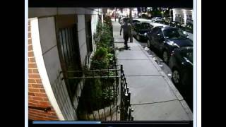 BPD Seek Public's Help