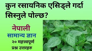 general knowledge/ samanya gyan nepali/ gk nepal/ nepali quiz question/quiz questions in nepali screenshot 3