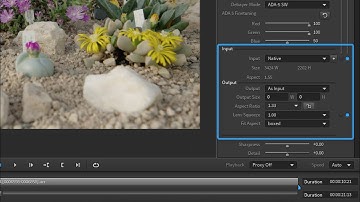 ARRI Tech Tip: ARRIRAW Converter - What`s new in the ARRIRAW Converter 4.0