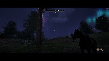 Oblivion Remastered performance is pretty bad, but still