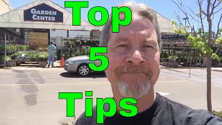 Top Tips for Picking the Right Plants