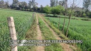 Selection of crop stage for yield modelling using remote sensing and GIS NDVI