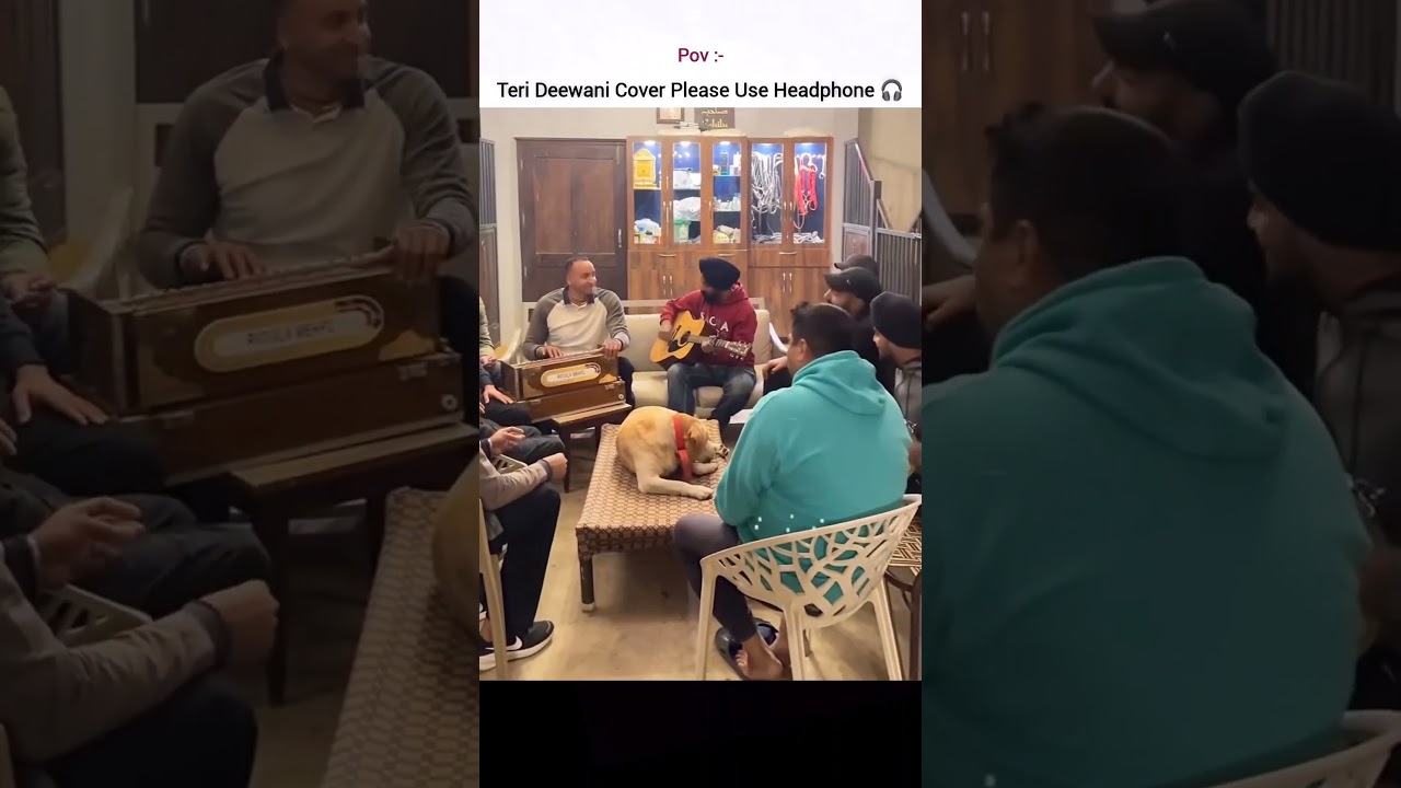 Teri Deewani | Cover - Patiala Mehfil X Hindustan Audio | Soulful Hindi Song 2025 💙