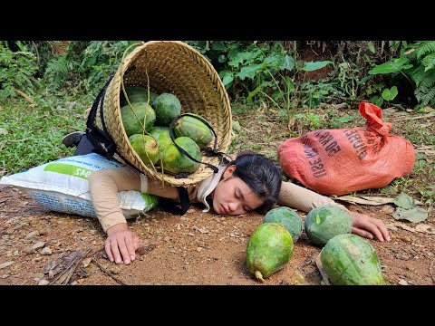 FULL VIDEO: 230 Days of Harvest Long Beans, Papaya, Peanuts, Sugarcane, Gourds to Sell at the Market