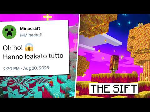 LET'S TALK about the MINECRAFT "SWIFT" DIMENSION "LEAK"