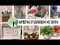 You wont believe how i use dollar tree items for high end spring diys