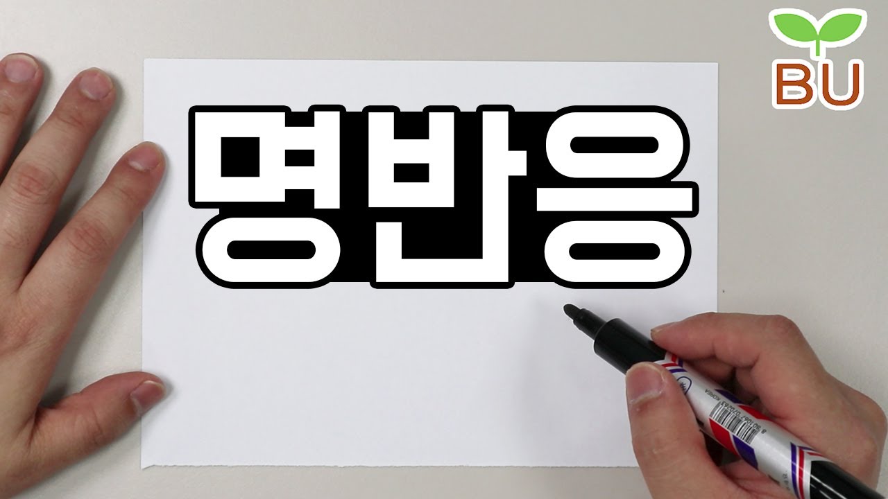 [설명편] 광합성 명반응