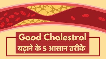HDL Cholesterol को बढ़ाने के लिए क्या करना चाहिए? | How to Increase Good Cholesterol?