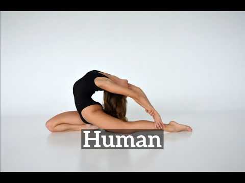 What is Human?