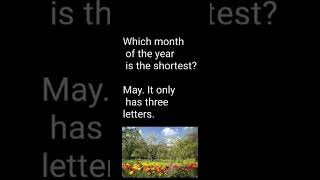 #Spring #jokes #funny  #stayoptimistic