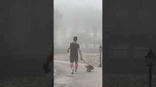 Motorists urged to drive carefully as heavy fog hits the UAE