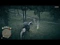 RDO * Daily Challenge - 5 Wintergreen Berries Picked - Location