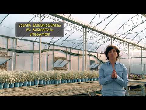 სათბურის მოწყობა