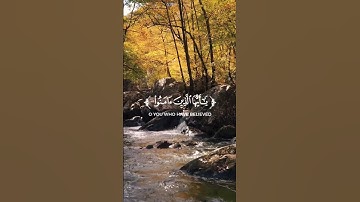 قرآن كريم بصوت القارئ بدر النفيس