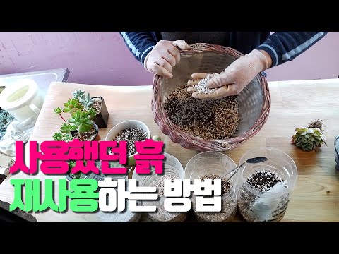 쉽고 간단하게 흙 재사용하는 방법