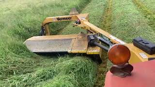 Making Hay without (much) help from the sun (2023)