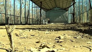 Wild Heart Ranch Opens New Eagle Flight Cage