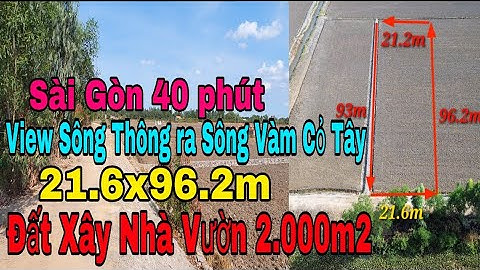Nhà vườn Long An | Đất làm vườn view Sông, trồng cây ăn trái, xây nhà vườn giá rẻ