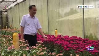 tiff tof 2025 walikota tomohon carol senduk