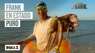 Top 5 locuras cotidianas de Wild Frank | Wild Frank