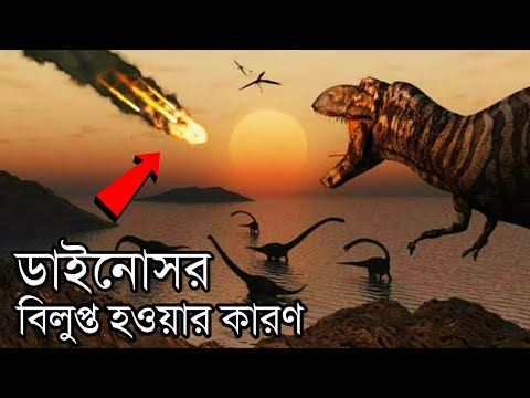 ডাইনোসরদের শেষ দিনটা কেমন ছিল | The End of Dinosaurs! Where did Humans come from in Bangla