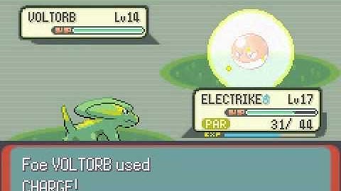 Pokemon Emerald Walkthrough - Part 12: Route 110 2/2