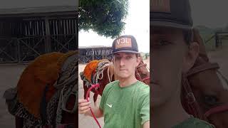#motivacional #motivação #amen #motivational #reflexão #amem #frasemotivacao Vlogs meu dia a dia