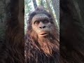 “Bigfoot’s First Forest Vlog – Giant Hands Chaos! 😂📹”