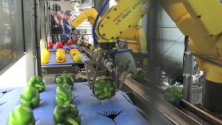 Easypack Technologies