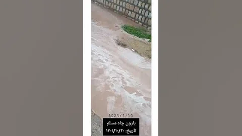 بارون روستاي جاه مسلم از توابع شهرستان بندر لنگه امطار مطر Rain فصل بهار 