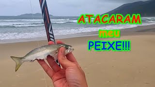 PREDADORES NA ÁREA!!! - ATACARAM meu PEIXE nessa PESCARIA!!!