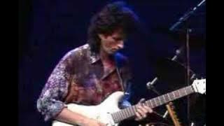 UZEB 'Blue'N Green' - The last concert