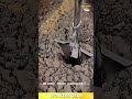 Innovative Manual Seed Planter Tool That Digs Holes and Dispenses Fertilizer in One Motion