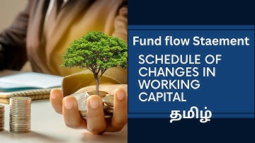 Fund flow statement- schedule of changes in Working capital Format in Tamil- Commerce Cartoons Tamil
