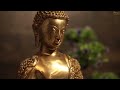 Brass exclusive buddha statue for home decor  statuestudio