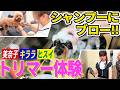 【必見👀】ワンちゃんをシャンプーする時のコツとは⁉️