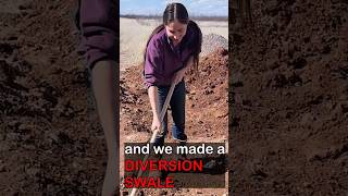 Our Rainwater Harvesting Diversion Swale Has Already Protected Our Root Cellar