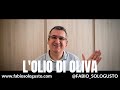 Olive oil - extra virgin | L&#39; Olio di oliva - extra vergine