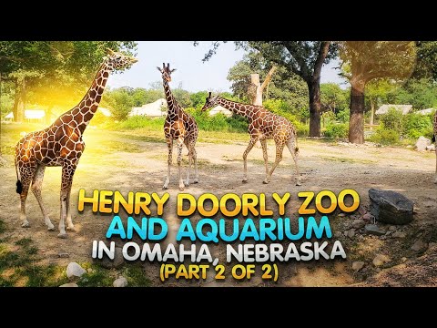 Henry Doorly Zoo and Aquarium in Omaha, Nebraska