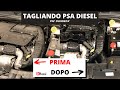 COME FARE UN TAGLIANDO DI UN AUTO ?  QUANTI CONTROLLI VENGONO FATTI IN OFFICINA ? MOTORE PSA DIESEL