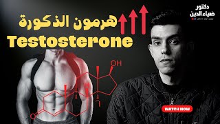 الطعام الوحيد المثبت علميا لزيادة هرمون الذكورة التستوستيرون - testosterone