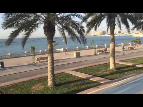 tsunami   @ saudi arabia