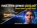 Yapay Zeka ve Antik DNA: Nesli Tükenmiş Canlıları Nasıl Geri Getiriyoruz?